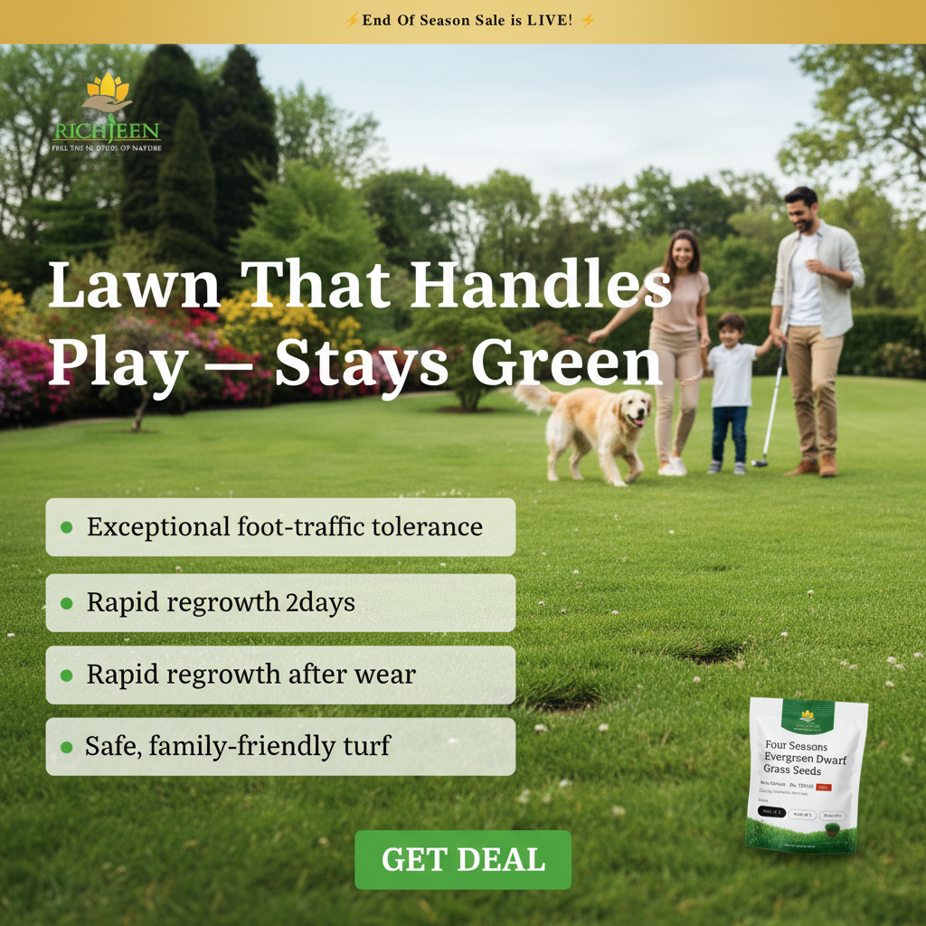 Four Seasons Evergreen Grass Seeds for Beautiful Grass – BUY 1 GET 1 FREE